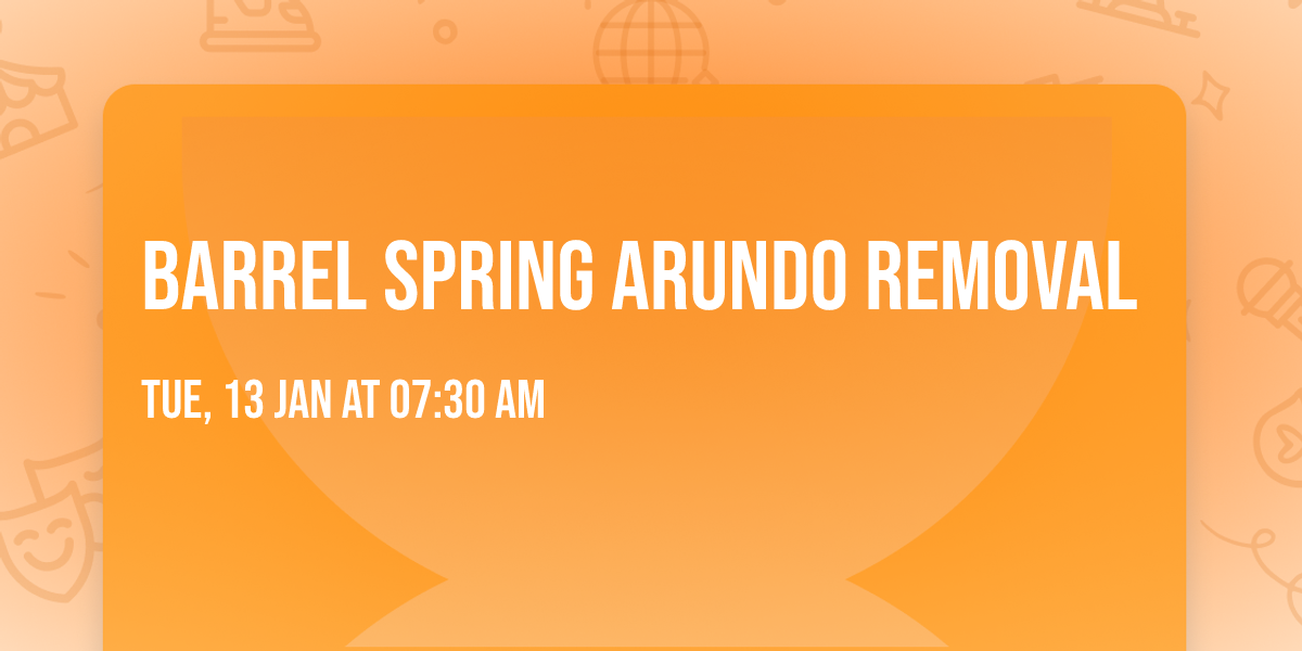 Barrel Spring Arundo Removal