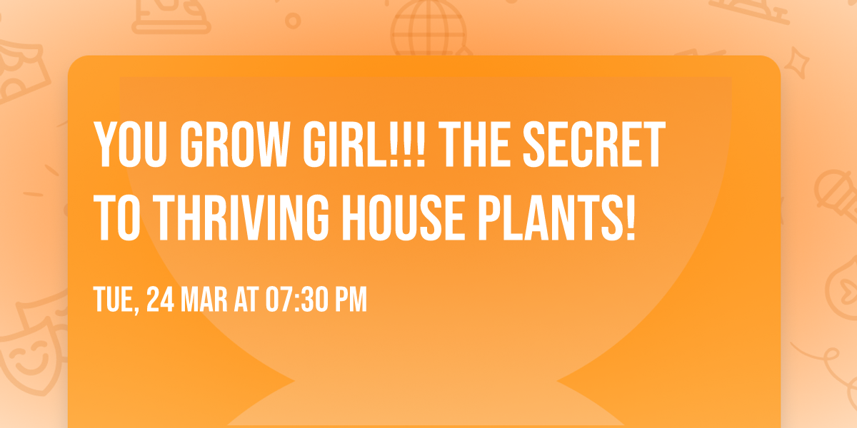 You Grow Girl!!! The Secret to Thriving House plants! \ud83e\udeb4 